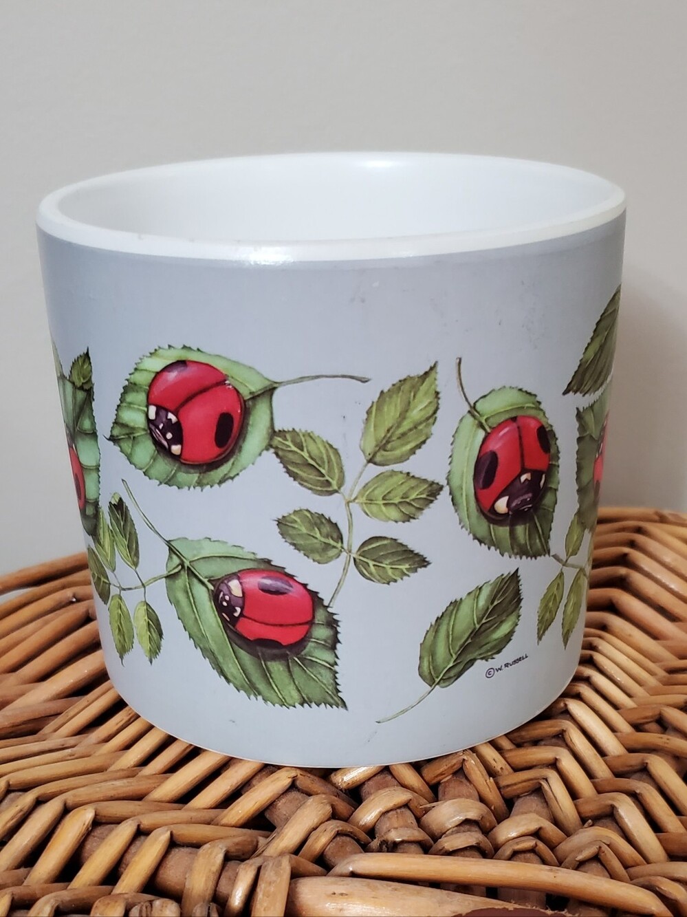 Ladybug Leaf Ceramic Plant Pot